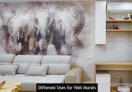 Different Uses for Wall Murals